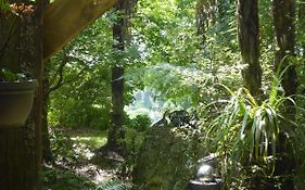 Mount Tutu Eco-Sanctuary